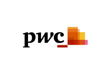 PWC Digital Inclusion (1)